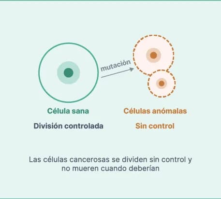¿Qué es el cáncer?